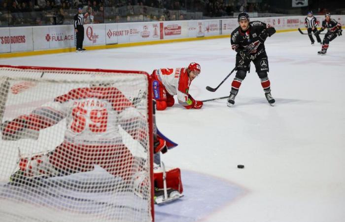 the same regrets for the Boxers eliminated by Grenoble