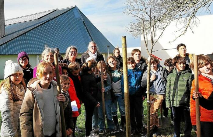 Fruit plantation in Trébeurden: the first of the citizen projects takes root