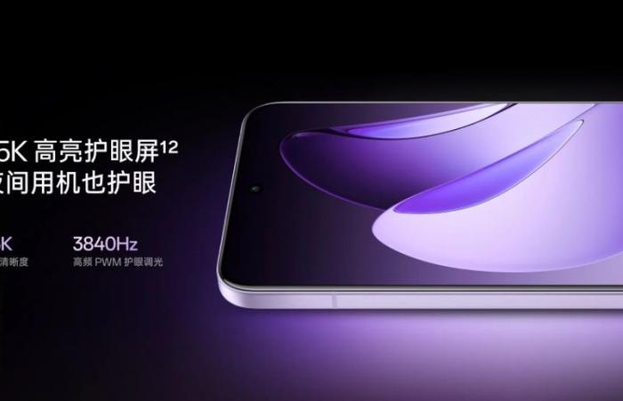 Oppo has unveiled the Reno13 and Reno13 Pro smartphones, featuring a new Dimensity 8350 chipset and IP69 protection.