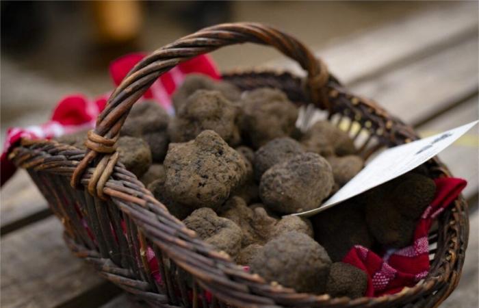 the famous Lot truffle market resumes on December 3