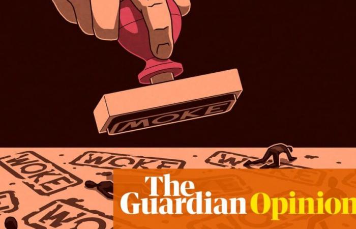 ‘Woke’ didn’t lose the US election: the patrician class who hijacked identity politics did | Nesrine Malik