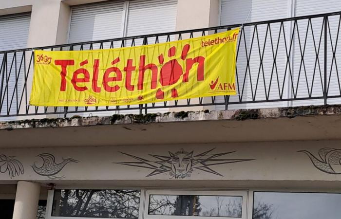 Saint-Quentin-en-Yvelines – A large program for the Telethon in Saint-Quentin-en-Yvelines