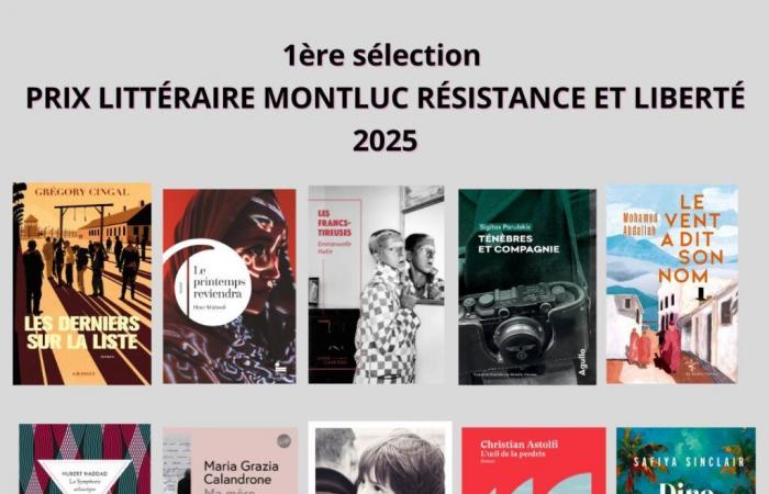 First selection for the Montluc Resistance and Liberty 2025 Literary Prize