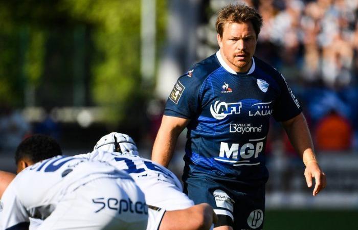 Transfers / Top 14 – The return of Torsten van Jaarsveld made official by Bayonne