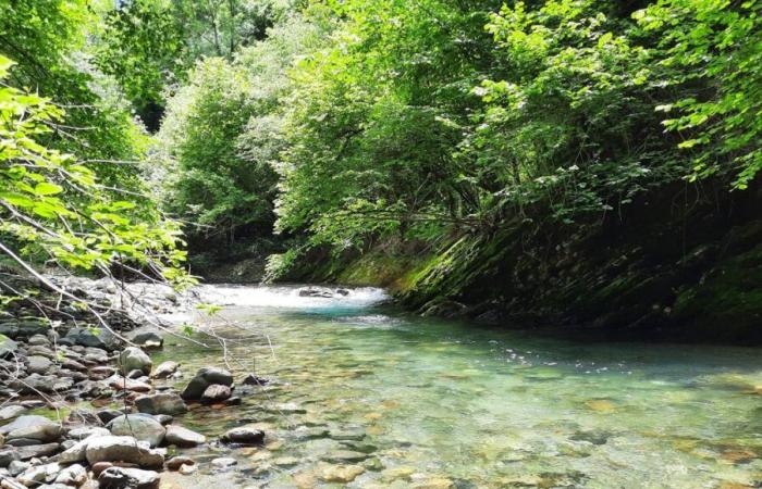 A man found dead in his car at the bottom of the Gave de Lourdios in Issor