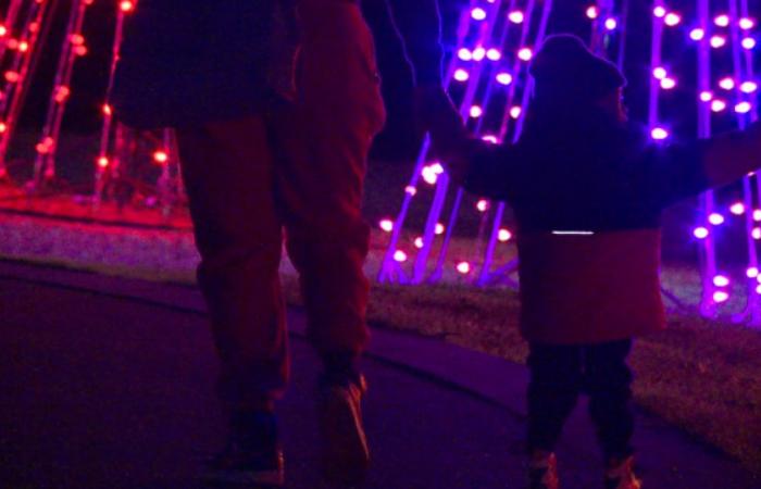 Discover the holiday spirit with Charm City Lights