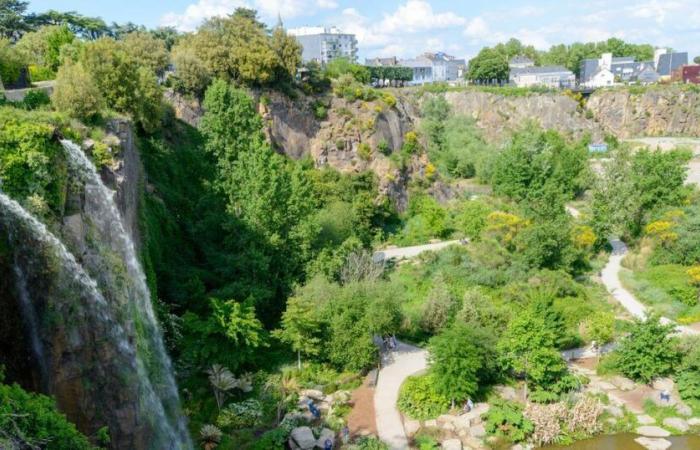 a teenager falls 30 meters in a public garden