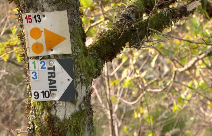 “Parisians, Toulouse, Lyonnais, Bretons, a few foreigners…” Le Loup Blanc, a national-scale trail in full preparation