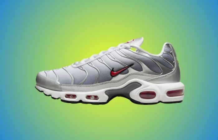 Price error on these ultra-trendy Air Max Plus? Nike hits hard