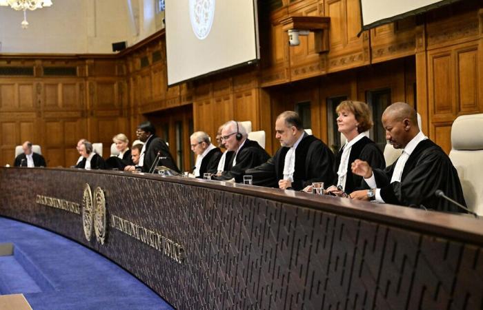 ICC decision could lead to arms embargoes on Israel – analysts