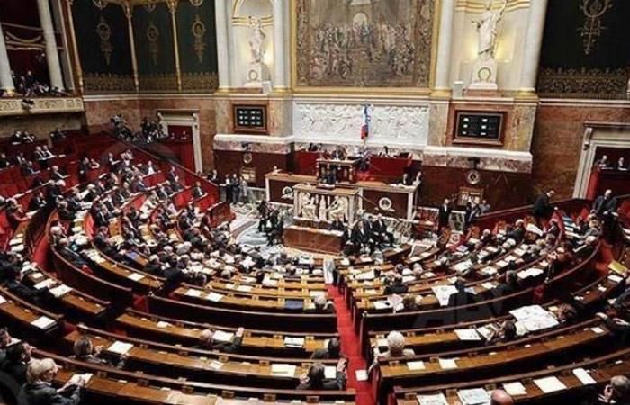 French MPs call for a commission of inquiry