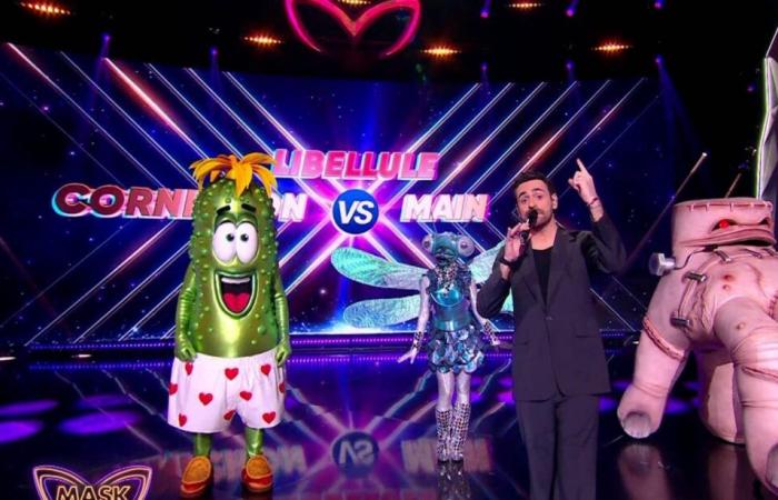 Camille Combal and “Mask Singer”: the totally unexpected announcement from TF1