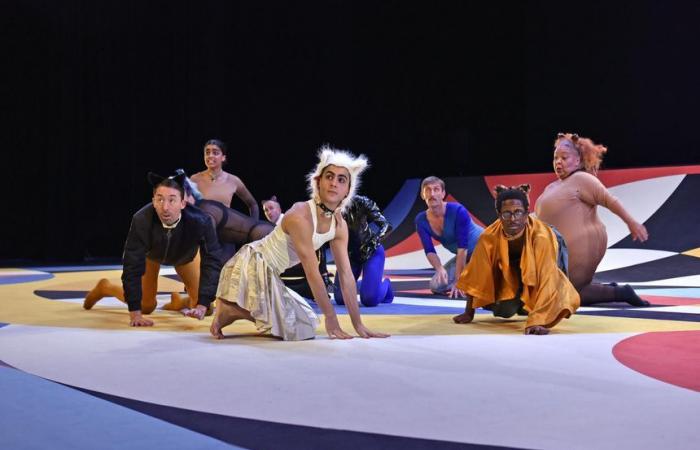 Come to Chaillot – Théâtre national de la Danse (Paris) for the show “Les chats”!