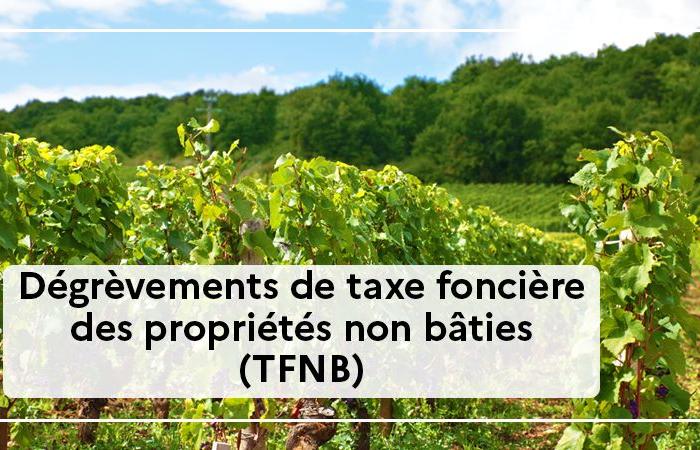 AGRICULTURE | Property tax relief for undeveloped properties (TFNB) – Press releases – Press room – Publications