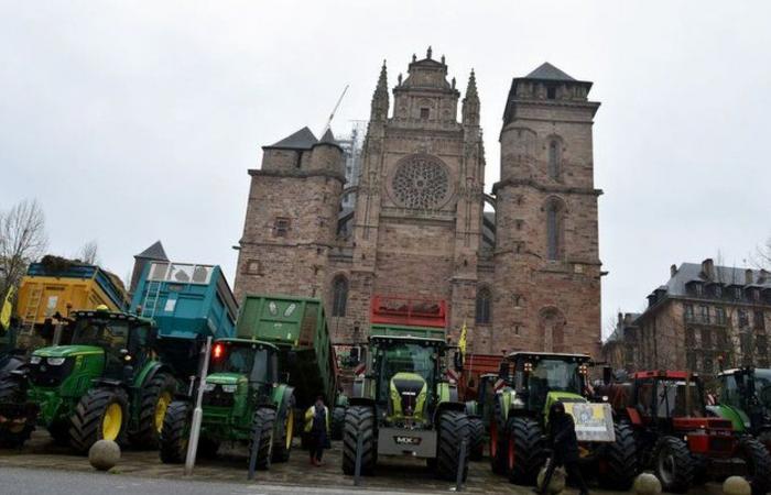 Anger of farmers: festival of skips, tractors and cows, filter dam, what to expect in Occitanie this week?