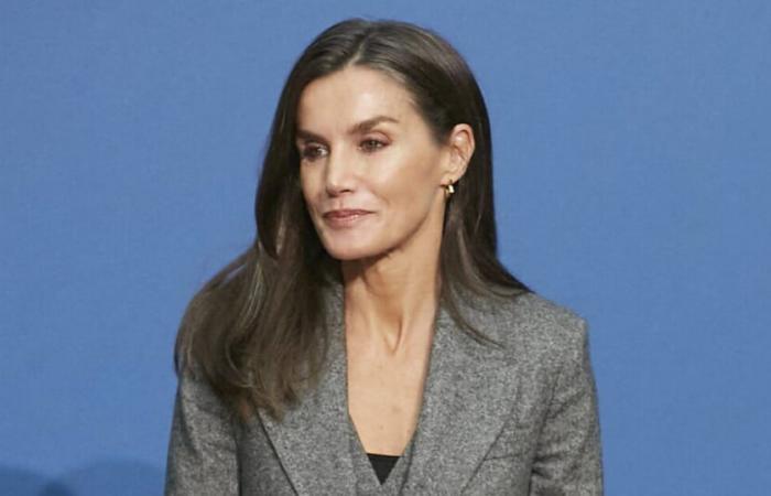 Letizia from Spain appears in an outfit that we have rarely seen on her last official portrait, she is hot