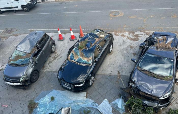 Crews clearing up aftermath of severe weekend winds, Nicosia mayors urge vigilance