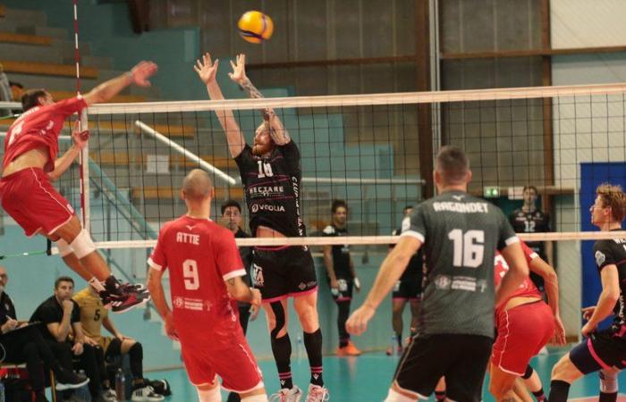 Volleyball: in the French Cup, the Centurions Narbonne move on to Martigues