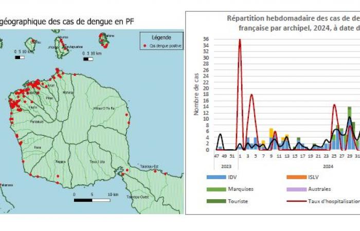 Proven epidemic of dengue fever in Tahiti and Moorea • TNTV Tahiti Nui Télévision