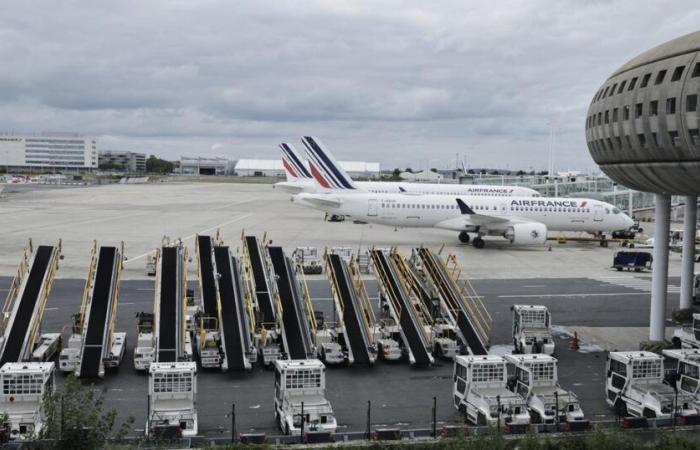 Closed runways, drones, searches… The disappearance of a dog wreaks havoc at Charles-de-Gaulle airport