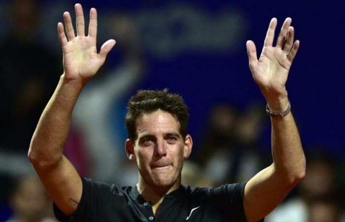 Del Potro talks about his suffering: “It’s a never-ending nightmare” – rts.ch