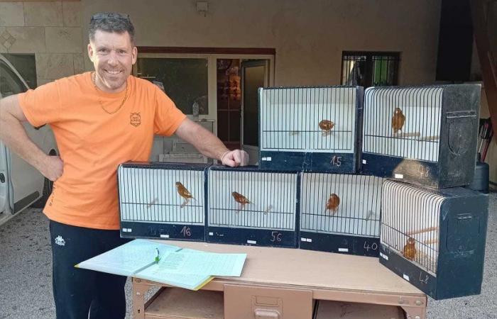 Drôme – Saint-Thomas-en-Royans – Breeding: The canary breeder, Grégory Veyret, ready for the French championship