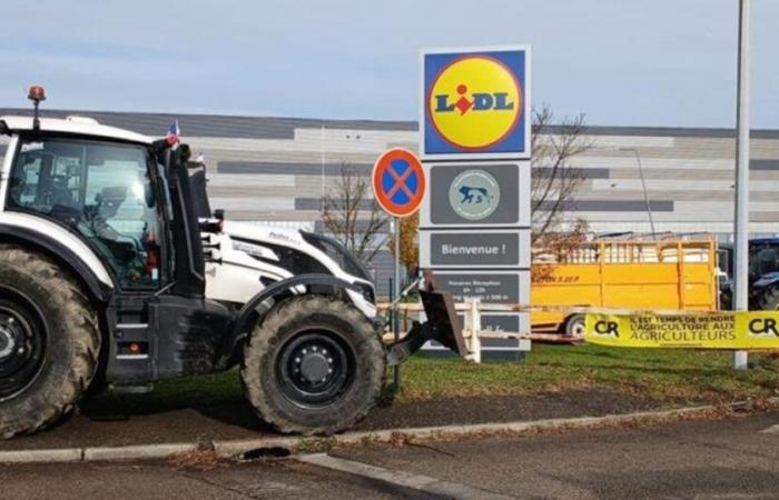 opposed to Mercosur, farmers filter access to a Lidl platform near Lyon