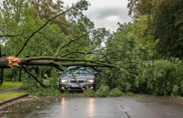 the chaos sown by storm Bert in France and the United Kingdom