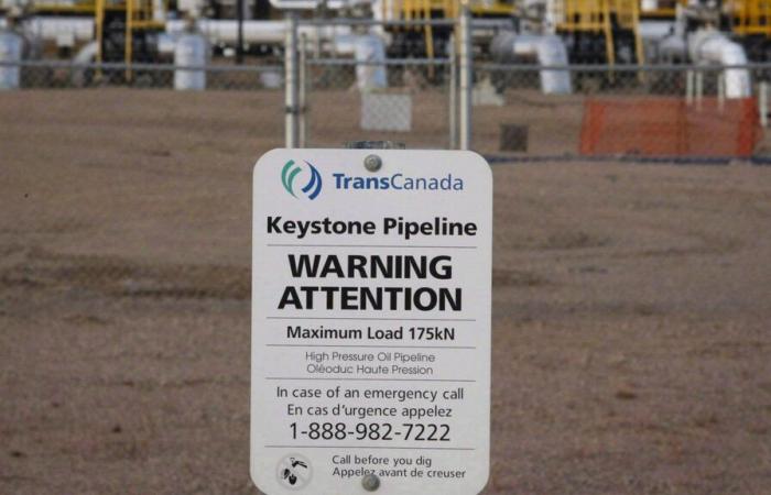 Alberta wants to encourage pipeline companies after Trump victory