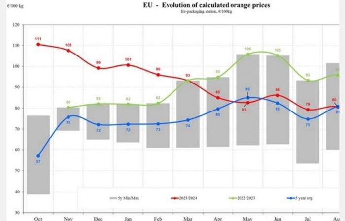 EU orange prices fall by 17.83% in 2024