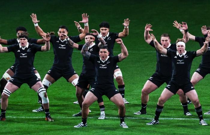 why did the All Blacks’ haka before the match against Italy spark a heated controversy in New Zealand?