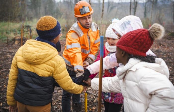 Haute-Savoie. In Poisy, 800 trees planted by 145 students and the Colas group