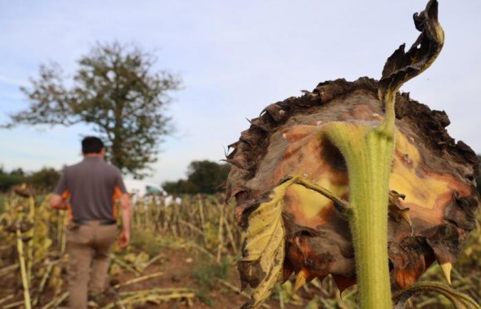 “Climate change is very real in our prairies”