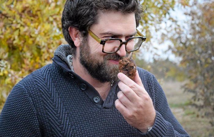 In Aveyron, truffle cultivation deserves to be known