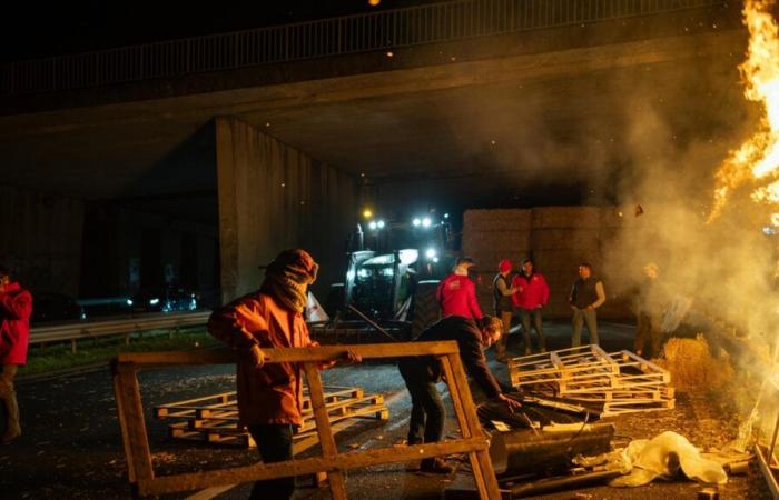 Young Farmers take their anger up a notch