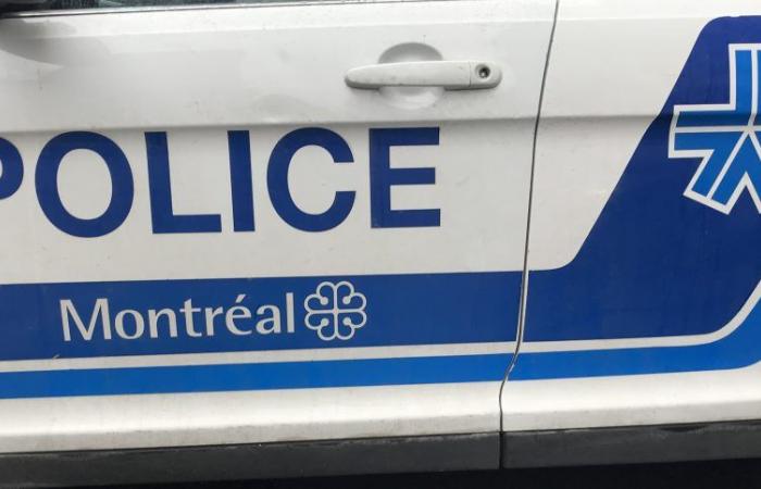 The SPVM in Sainte-Rose to find the weapons of a 2022 murder