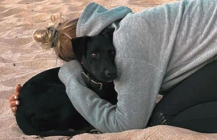 “I’ve been living at the airport for a week”: a Czech tourist is desperately looking for her dog in Roissy