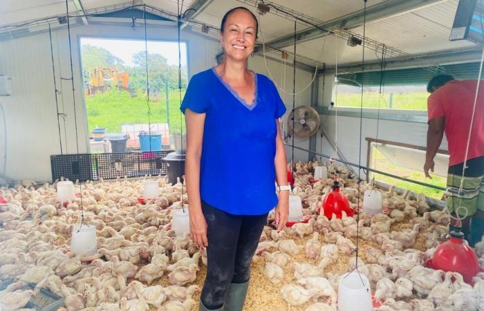 Polynesia still spared from avian flu, but vigilance is required