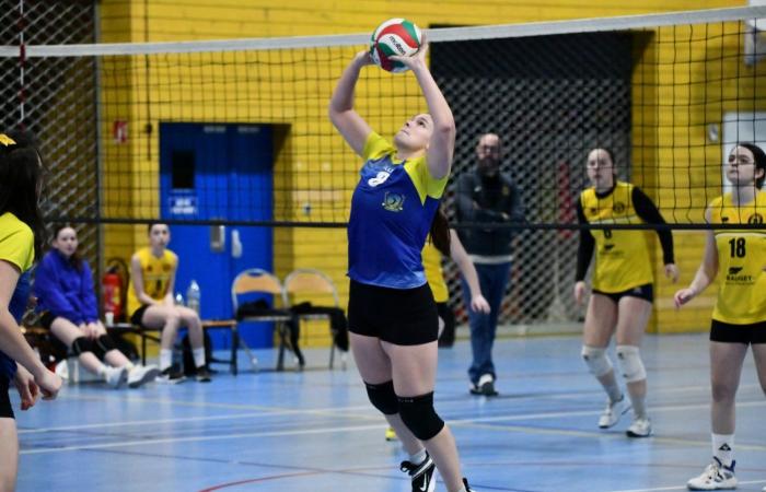 VOLLEYBALL: Only the men of Le Creusot won… The women lost everything…