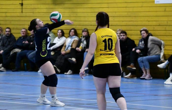 VOLLEYBALL: Only the men of Le Creusot won… The women lost everything…