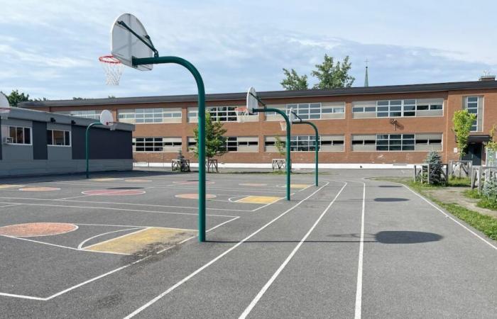 Record number of renovated schoolyards: “window dressing”, school management say