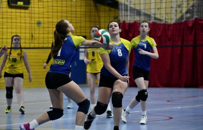 VOLLEYBALL: Only the men of Le Creusot won… The women lost everything…