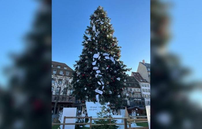 the decorations of the large Christmas tree in Strasbourg divide