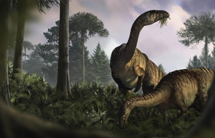 Study | The supremacy of dinosaurs told through their stomachs