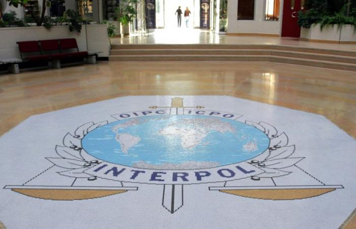 Interpol’s record-breaking operation against online scams