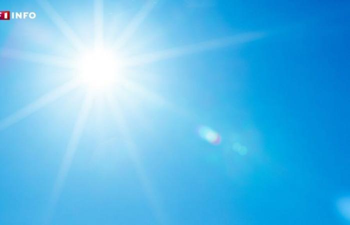 Return of the sun and contrasting temperatures: what weather can we expect for the end of autumn?