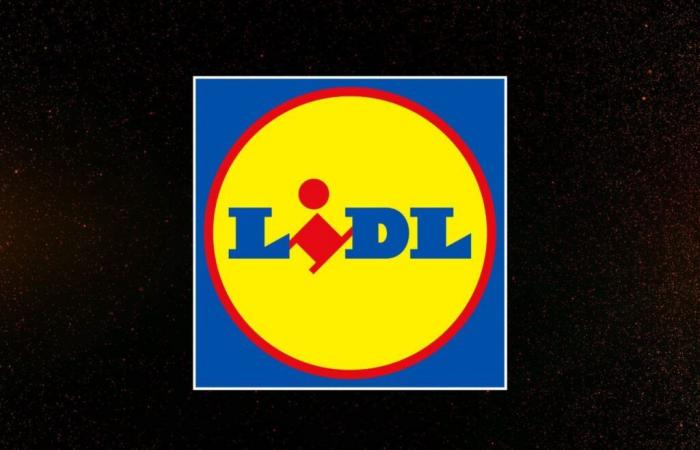 Who would have imagined that Lidl would offer such low prices for Black Friday 2024?