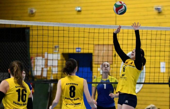 VOLLEYBALL: Only the men of Le Creusot won… The women lost everything…