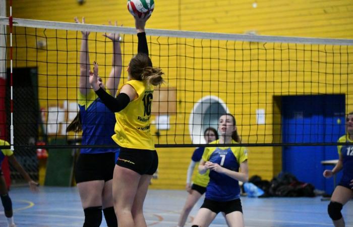 VOLLEYBALL: Only the men of Le Creusot won… The women lost everything…