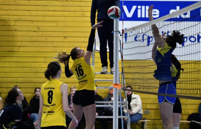 VOLLEYBALL: Only the men of Le Creusot won… The women lost everything…